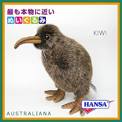 hansa kiwi