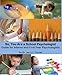 So, You Are a School Psychologist: Guide for Interns and First Year Psychologists