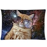 Cool Cat Outer Galaxy Space Custom Zippered Pillowcase Pillow Cases Cover 20 X 30 Inch (twin side)