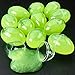 Kicko Glow in The Dark Egg Putty - 12 Pack - Neon Gooey Fidget Slime Kit - for Sensory and Tactile Stimulation, Educational Toy, Stress Reliever, Holiday Props, Party Favor, Science Experiment