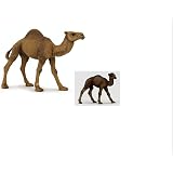 Schleich 14602 Wild Life Trampeltier Fohlen – Spielzeugfigur Für Tierfreunde, 7.8 X 3.0 X 6.5 Cm