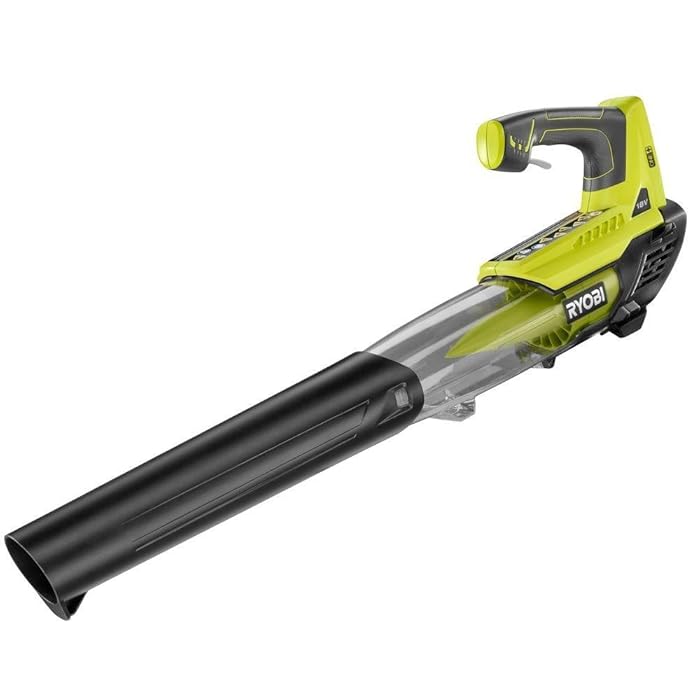 Top 10 Ryobi Vacuum Cleaner For Lawn