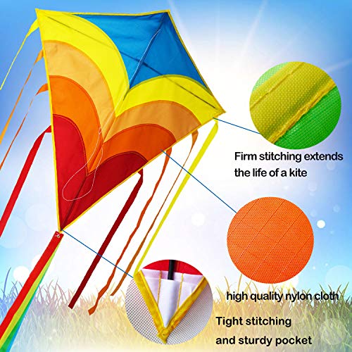 Zhuoyue Kite- Rainbow Diamond Kite for Kids and Adults, Easy to Fly Kite for Beginner, The Best Kite for The Beach and Outdoor Games Activities
