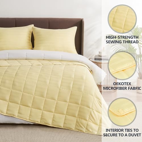 anfie Weighted Blanket(60"x80" 20lbs),Ultra Soft