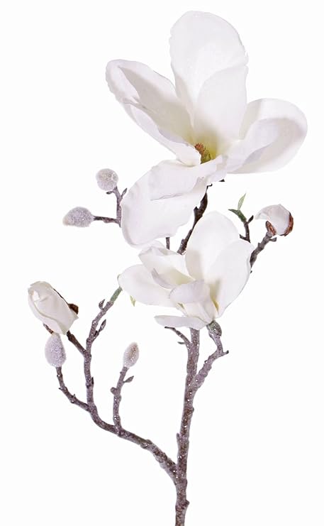 artplants Künstlicher Magnolienzweig SIMKA, Frost Optik, Creme, 60 cm - Deko Zweig/Magnolia künstlich