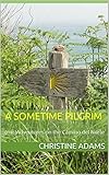 A Sometime Pilgrim: (mis)Adventures on the Camino del Norte