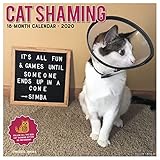 Cat Shaming 2020 Wall Calendar by 