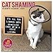 Cat Shaming 2020 Wall Calendar by 