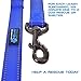 Max and Neo Small Dog Leash - Reflective Nylon, Donates to Dog Rescue (Teal, 6x5/8)