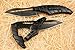 Alien Transformers Tactical Liner Lock Pocket Folding Knife Survival Hunting Fishing Camping Hiking, Black, Come with Sheath