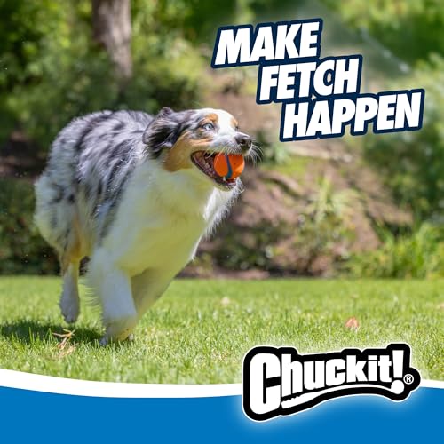 Chuckit! Ultra Balls Medium - Pack of 2 Suitable for all breeds of dog