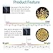Solarmks Solar String Lights Outdoor Waterproof 72 ft 200 LED Fairy String Lights, Ambiance Lighting for Garden, Patio and Holiday Decorations (Warm White)