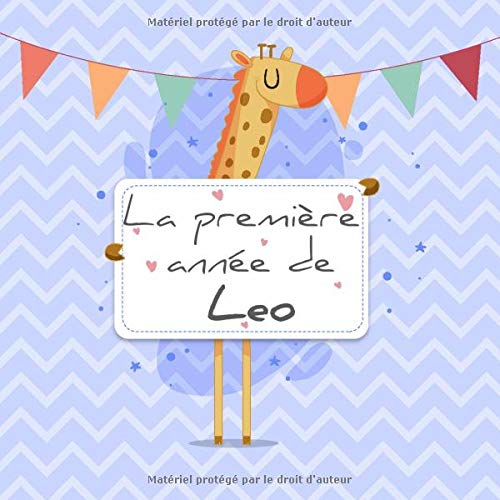 La Premiere Annee De Leo Album Bebe A Remplir Pour La Premiere Annee De Vie Album Naissance Garcon French Edition Publishing Babymemories Fr Amazon Com Books