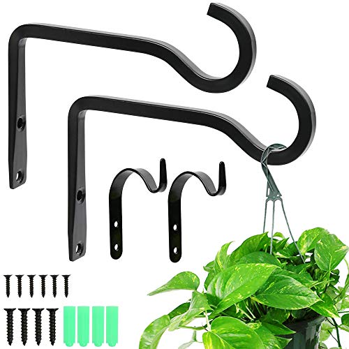 Plant Hangers