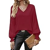 Aifer Womens V Neck Chiffon Blouses Pleated Lantern Sleeve Flowy Dressy Tops Elegant Business Casual Outfits