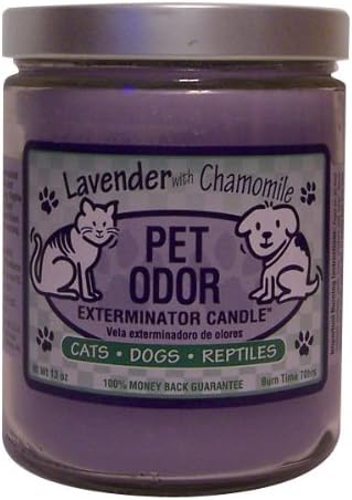 Pet Odor Exterminator Jar Candle - Lavender with Chamomile