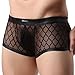 FEESHOW Men's Sheer Mesh Boxers Briefs Shorts Underwear Trunks Black X-Large(Waistline:33.0-40.0