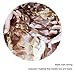 iunio Camo Netting Camouflage Netting, Camo Net Bulk Roll Camouflage Mesh Nets for Hunting Blind Deer Stand Military Party Decorations Sunshade Camping Shooting (16.4ftx4.9ft, Desert)