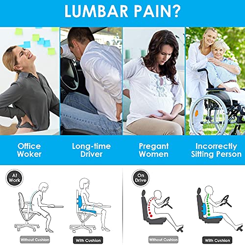 Seat Cushion for Office Chair Memory Foam Lumbar Support Pillow Combo, for Relief The Lower Back Pain Tailbone Sciatica Pain