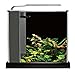 Fluval SPEC Freshwater Aquarium Kit, Aquarium with LED Lighting and 3-Stage Filtration, 2.6 Gallon, Black, Large Breeds