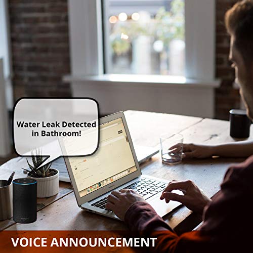 YoLink Smart Home Starter Kit: Amazon's Choice Water Sensor 4-Pack & Hub Kit - Our Best-Selling Original Water Leak… - Image 4