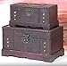 Vintiquewise(TM) Antique Old Wooden Trunk/Treasure Chest, Set of 2