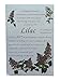 Scents Hill Scented Sachets Envelope for Drawers and Closets Lot of 4 (Lilac)