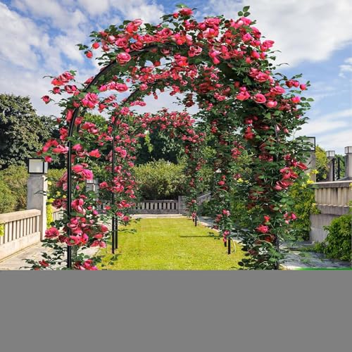 MANYUK Black Metal Pergola Arbor, Metal Arch Frame, Garden Arch Trellis for Various Climbing Plants Wedding Garden Arch Bridal Party Decoration