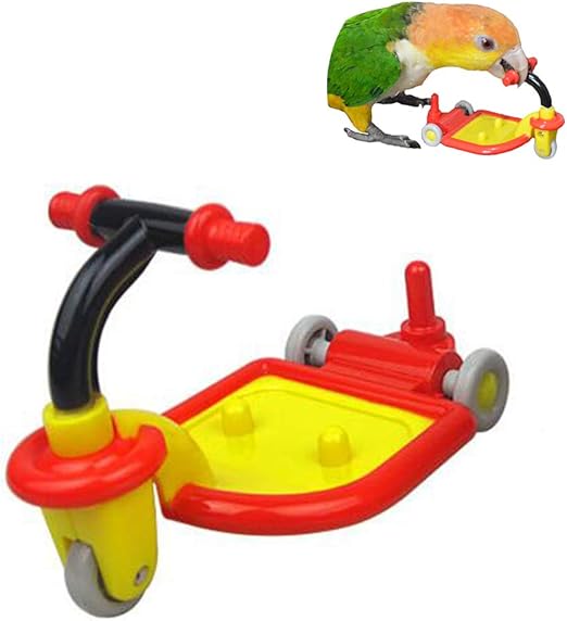 cockatiel puzzle toys