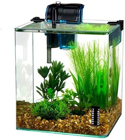 Amazon Com Desktop Fish Tank Vertex Small Decorative Aquarium