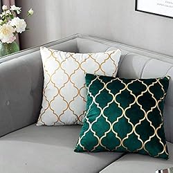 TAOSON Pack of 2,Moroccan Quatrefoil Geometric