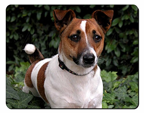 Jack Russell Terrier Dog Computer Mouse Mat/ Pad