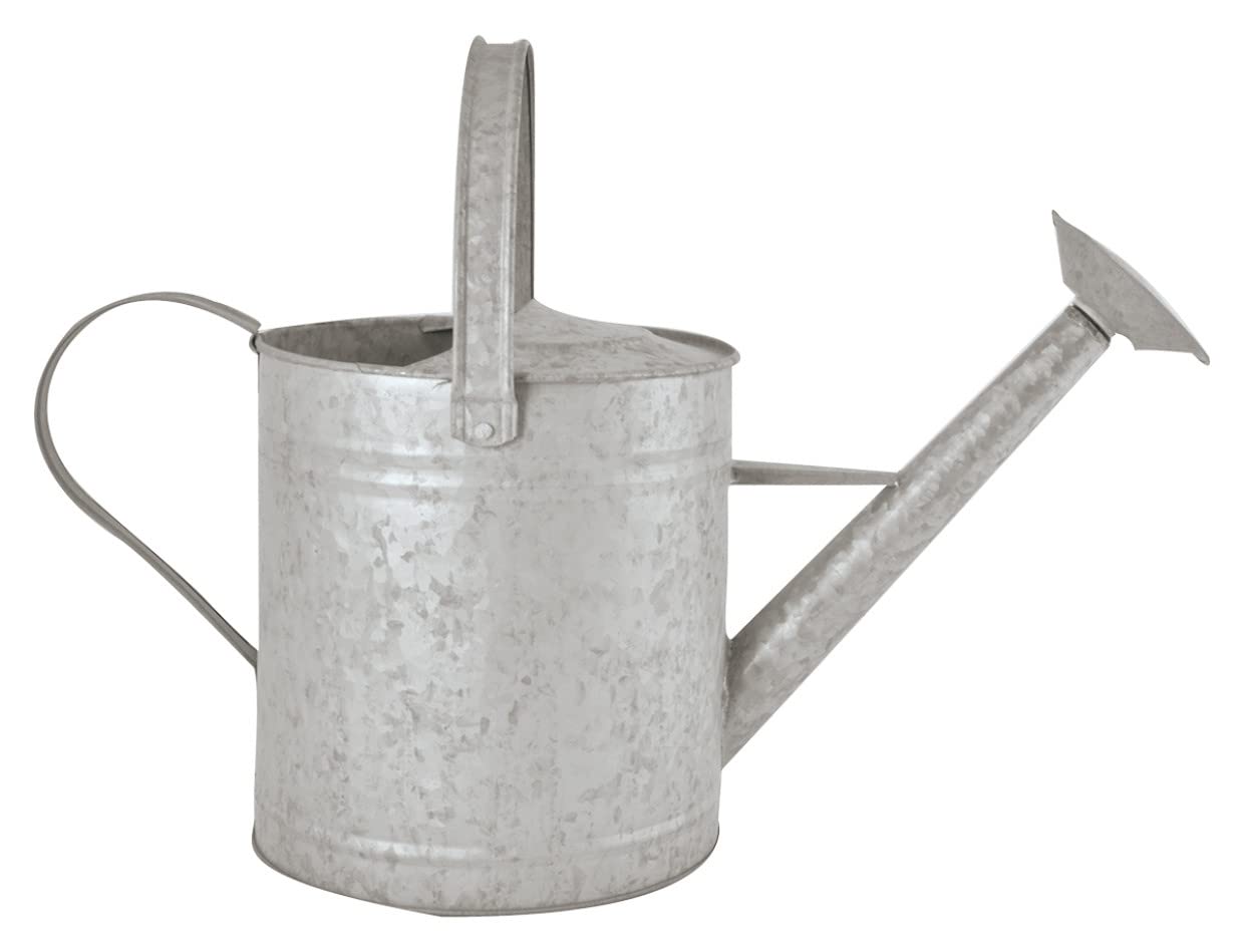Fallen Fruits 3.5 Litre Old Zinc Watering Can, M