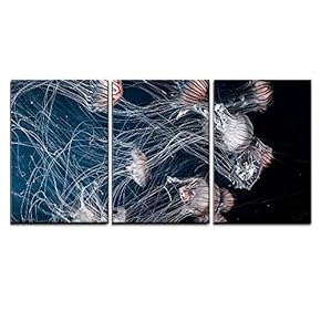 Jellyfish Under The Deep Ocean x3 Panels