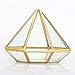 Handmade Gold Open Glass Geometric Terrarium Brass Diamond Succulent Fern Moss Plant Display Container Balcony Small Planter Indoor Centerpiece for Coffee Tabletop Decoration (NO Plants)