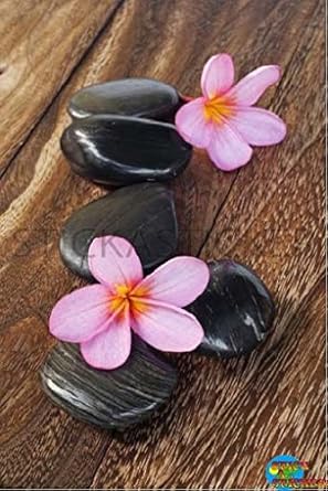 Adhesivo pegatina Frigidaire nevera 60 x 90 cm Ref 032: Amazon.es ...