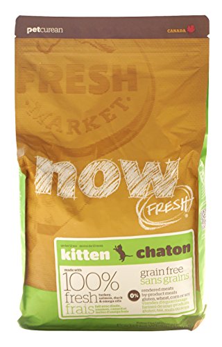 now fresh kitten