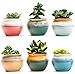 Sun-E Ceramic Succulent Plant Pot Flowing Glaze Black&White Base Serial Set Cactus Plant Pot Flower Pot Container Planter with Hole(6 in Set) 2.75 Inch
