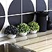 Sophia's Garden Artificial Plants Fake Plants for Plant Decor, Cute, Realistic Desk Plant - Small Artificial Plants Fake Plant Artificial Plant for Home Decor Faux Plant Feaux