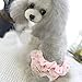 Bro'Bear Washable & Elastic Floral Female Dog Diaper Sanitary Panties Puppy Lace Underwear Pink (Large)