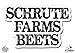 GT Graphics Schrute Farms Beets The Office - 3