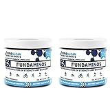 PureClean Performance FUNDAMINOS - Plant-Based Essential Amino Acid+BCAA Blend, Organic, Nothing Artificial, Athlete-Endorsed, Physician-Formulated for Peak Strength and Faster Recovery (2-Pack)