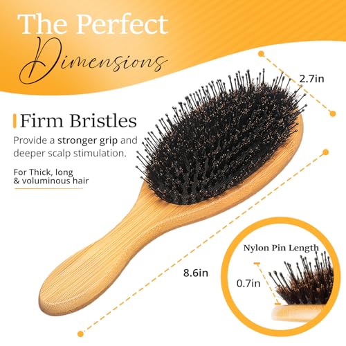 Belula Boar Bristle Hair Brush - Hair Brushes for Women & Mens Hair Brush, Detangler Brush, Hairbrush, Detangling Brush for Long, Curly or Any Type of Hair.