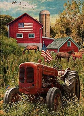 Selmad July 4 Patriotic Garden Flag Summer Fall Farm Double Sided