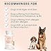 Probiotics for Dogs with Digestive Enzymes by California Dog Supplements | All-Natural Vitamins for Diarrhea & Constipation Relief + Yeast Infection Treatment | Healthy Immune and Gut Health for Pets