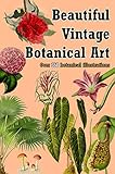 Beautiful Vintage Botanical Art: Over 350 botanical