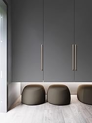Goo-Ki Brushed Brass Zinc Alloy Cabinet Pull,Modern