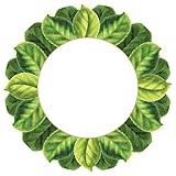 Paper Plates Dinner Plates Party Supplies Pink Camellias 10.75