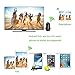 MiraScreen Wireless Display Dongle Screen Mirror cast WiFi 1080P HDMI Adapter TV Stick Support Miracast DLNA Airplay Free Installation (no APP, no Driver) TV Dongle Receiver