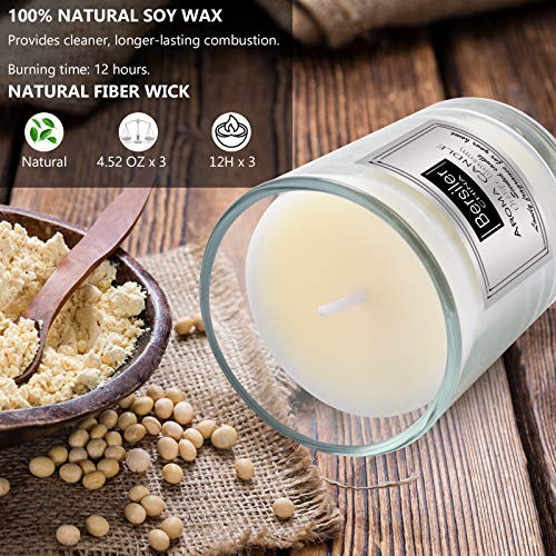 Bersiler Aromatherapy Candles, Scented Candles Gift for Women Birthdate Soy Wax Candle 3 Pcs X 4.5 OZ Mother\'s Day Anniversary ：Blue Water